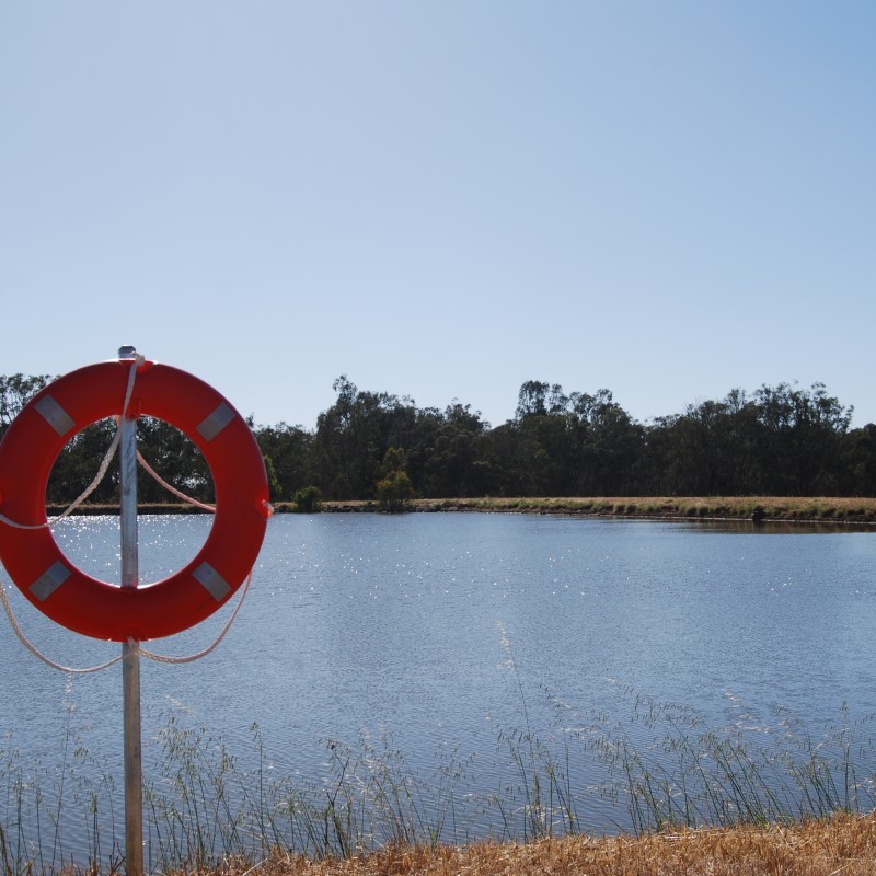 Arcadia Native Fish Hatchery Visitor Centre & Giant Murray Cod