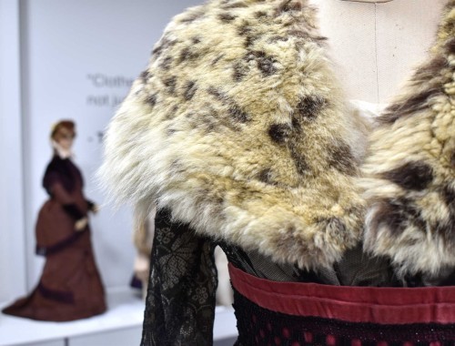 Iconic Shoes fur foreground - web