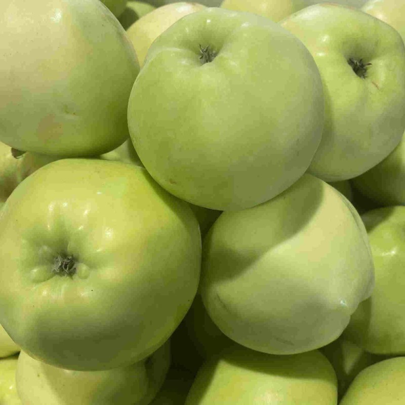 Boris's Fruit Shed