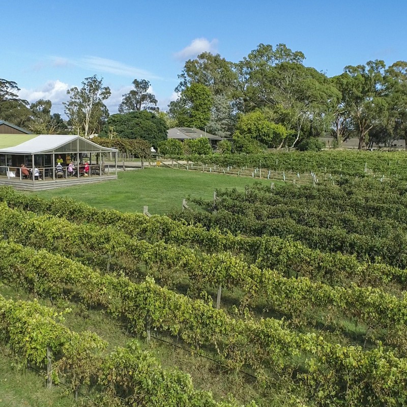 Longleat Wines