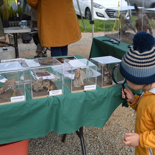 Nurture Nature at Murchison