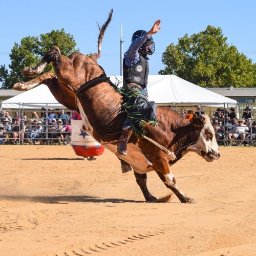 Shepparton Rodeo 2026