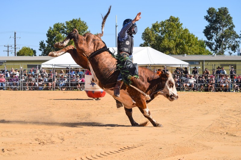 Shepparton Rodeo 2026