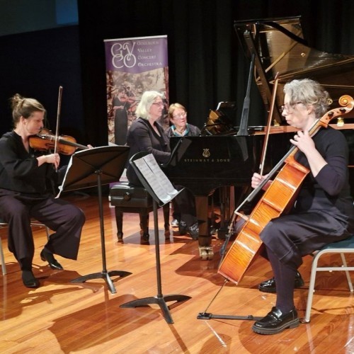 Riverlinks presents Goulburn Valley Concert Orchestra - Chamber Series