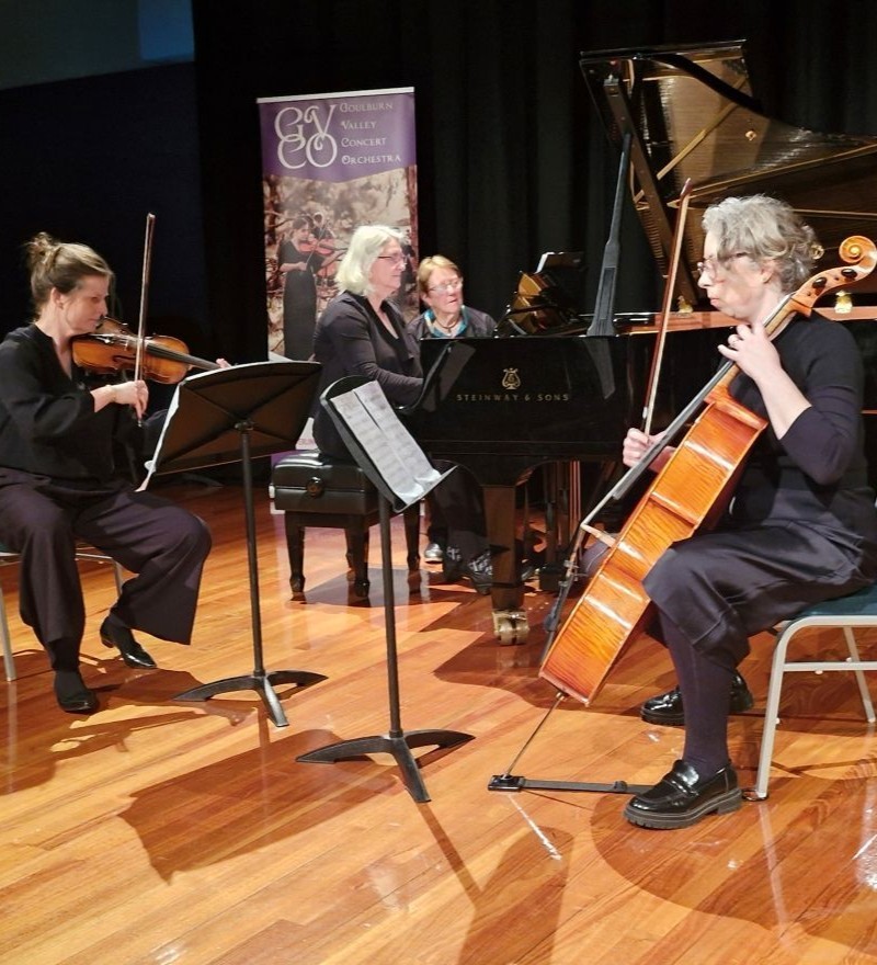 Riverlinks presents Goulburn Valley Concert Orchestra - Chamber Series