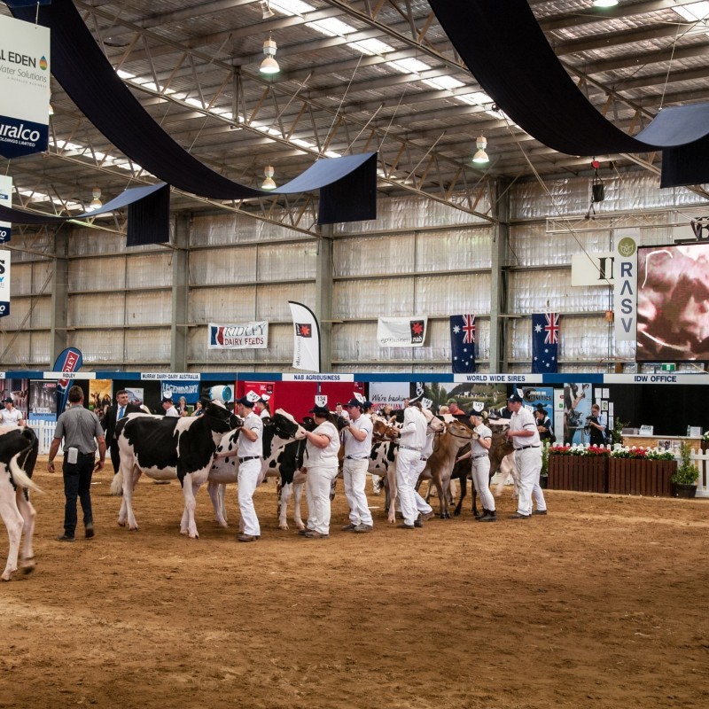 International Dairy Week