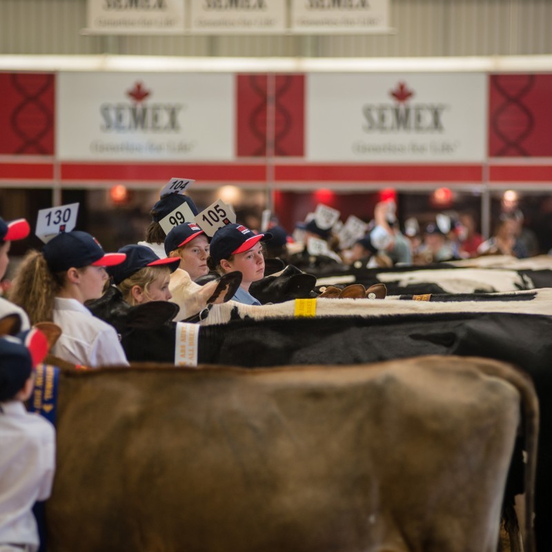 International Dairy Week