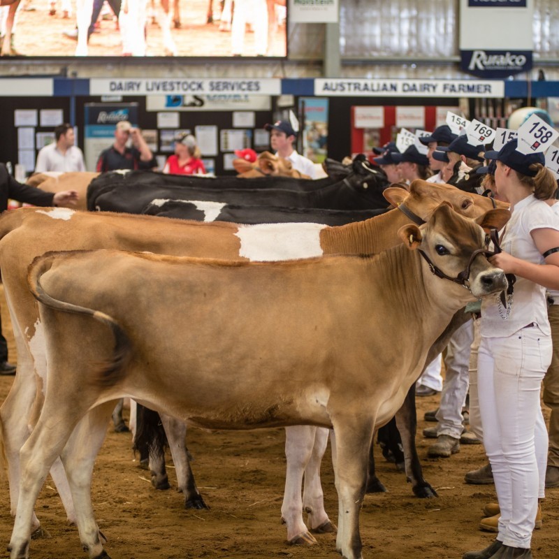 International Dairy Week