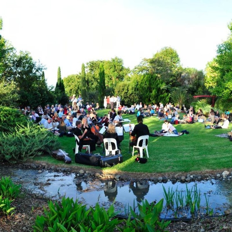 Shepparton Festival