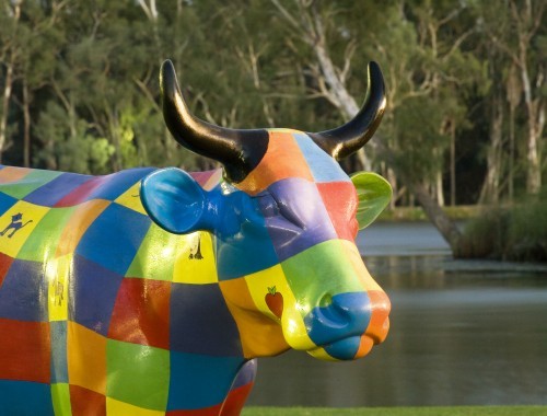 Cow in front of lake