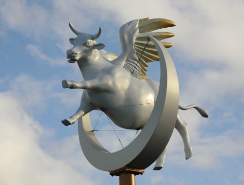 Cow statues
