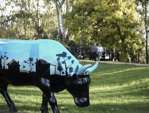 Murchison Public Gardens and Meteorite Cow