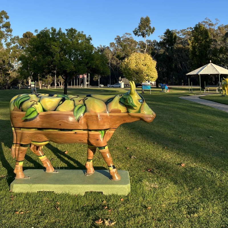 Shepparton Public Art Walk