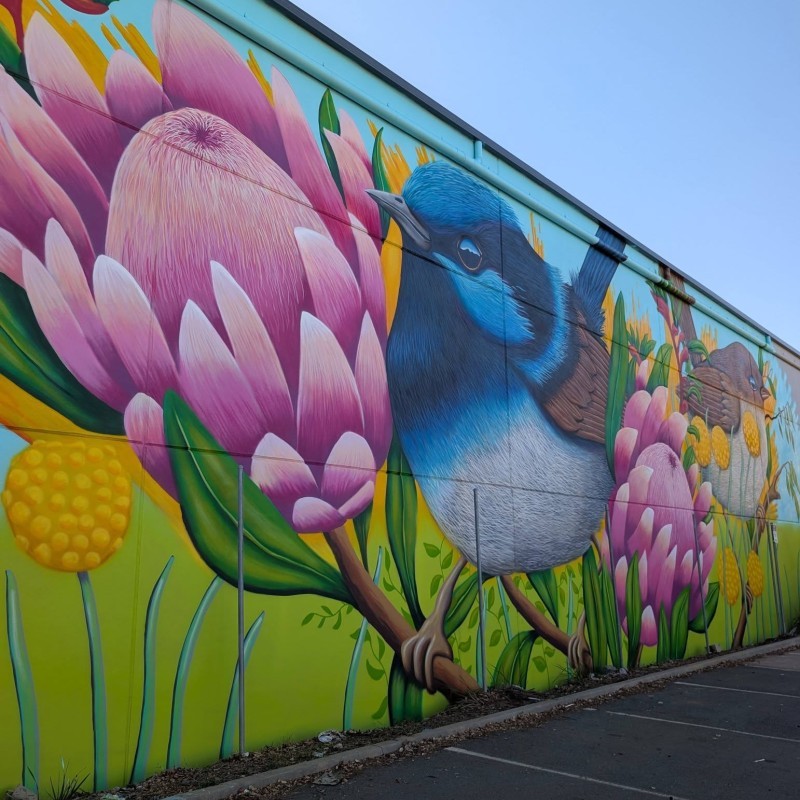 Foodshare Mural by Tank