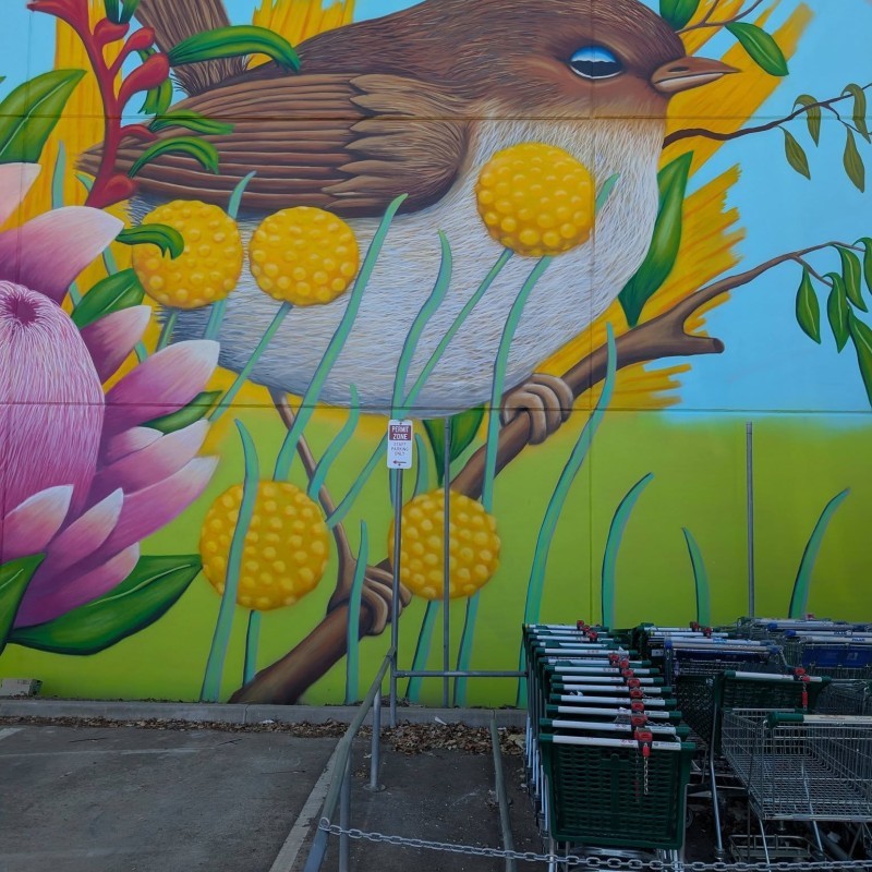 Foodshare Mural by Tank
