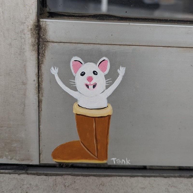 Shepparton Mouse Hunt
