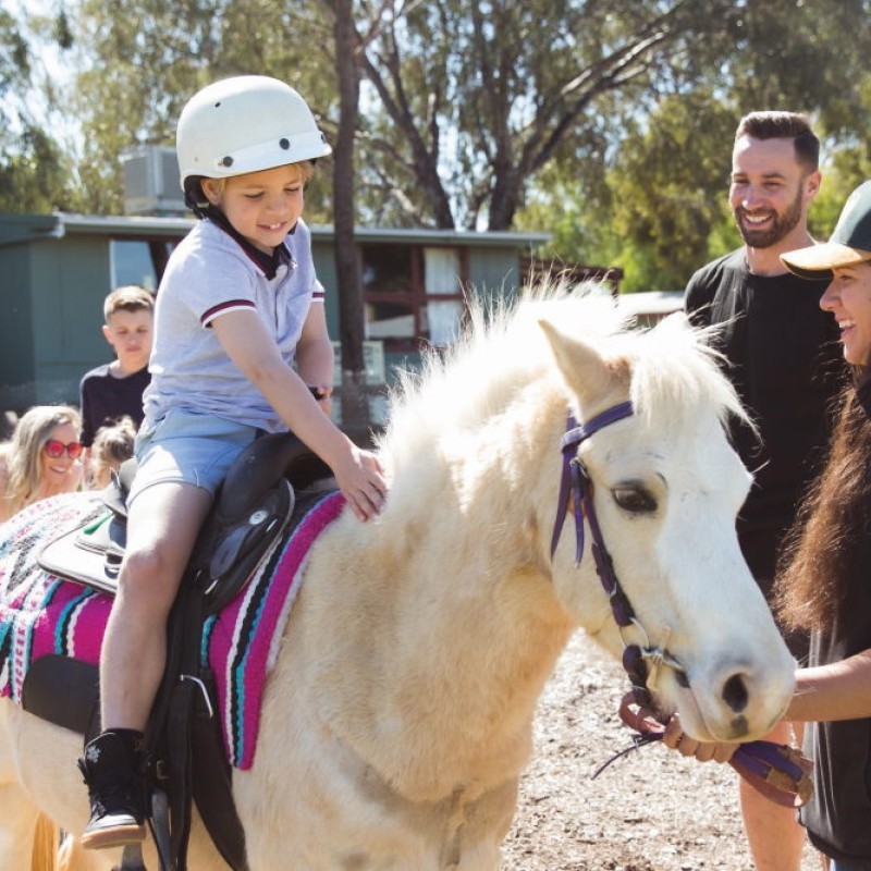 Billabong Ranch Adventure Park