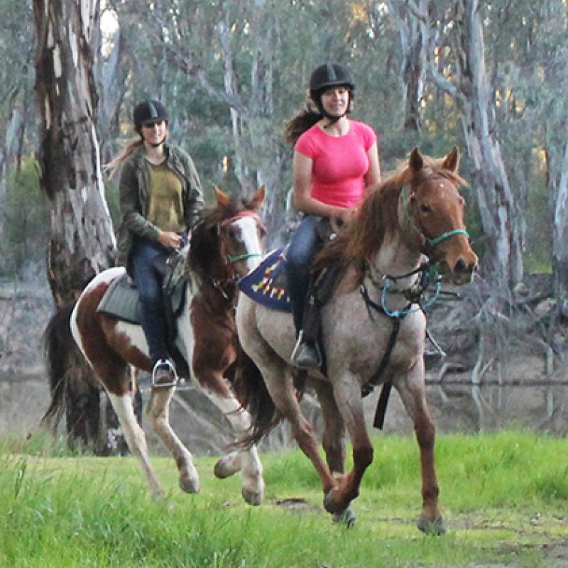 Billabong Ranch Adventure Park