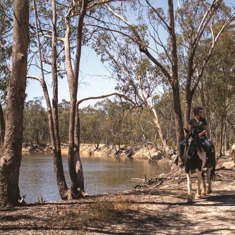 Billabong Ranch Adventure Park