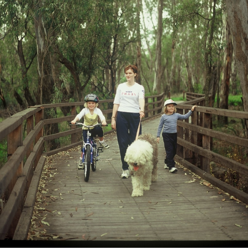 Travelling with Animals