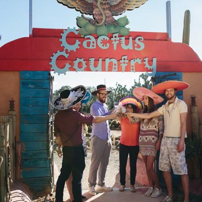 Cactus Country