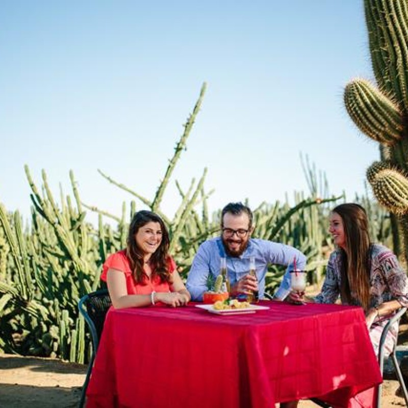 Cactus Country
