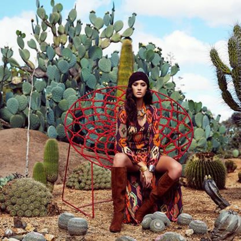 Cactus Country