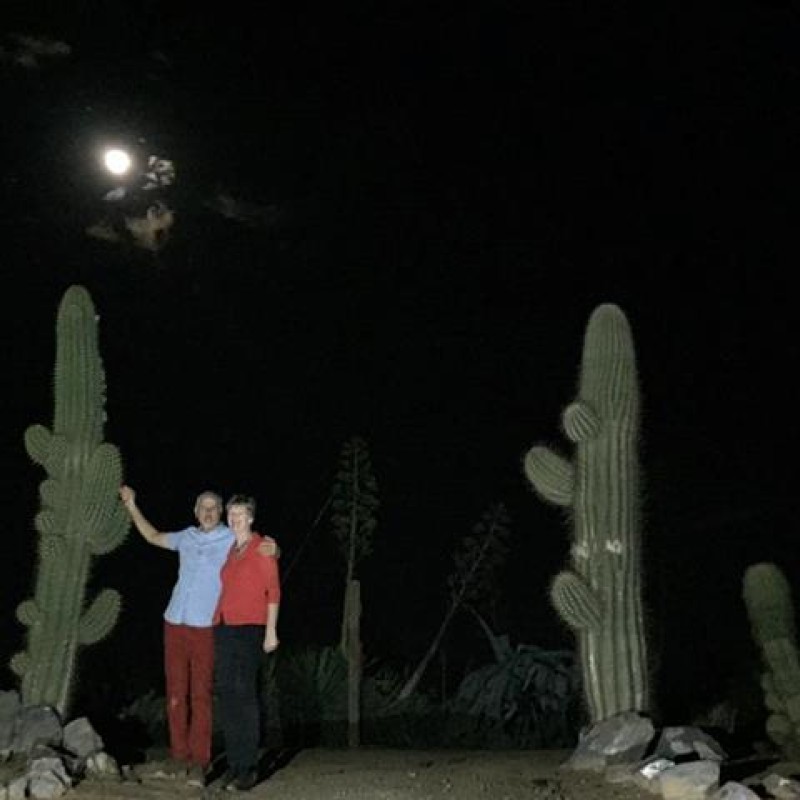 Cactus Country
