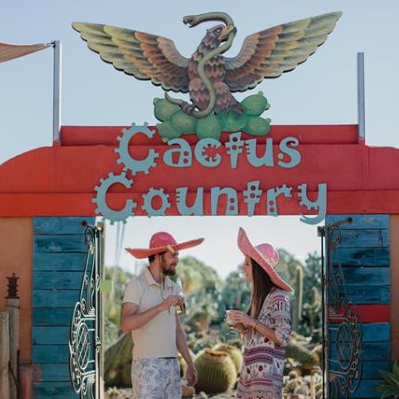 Cactus Country