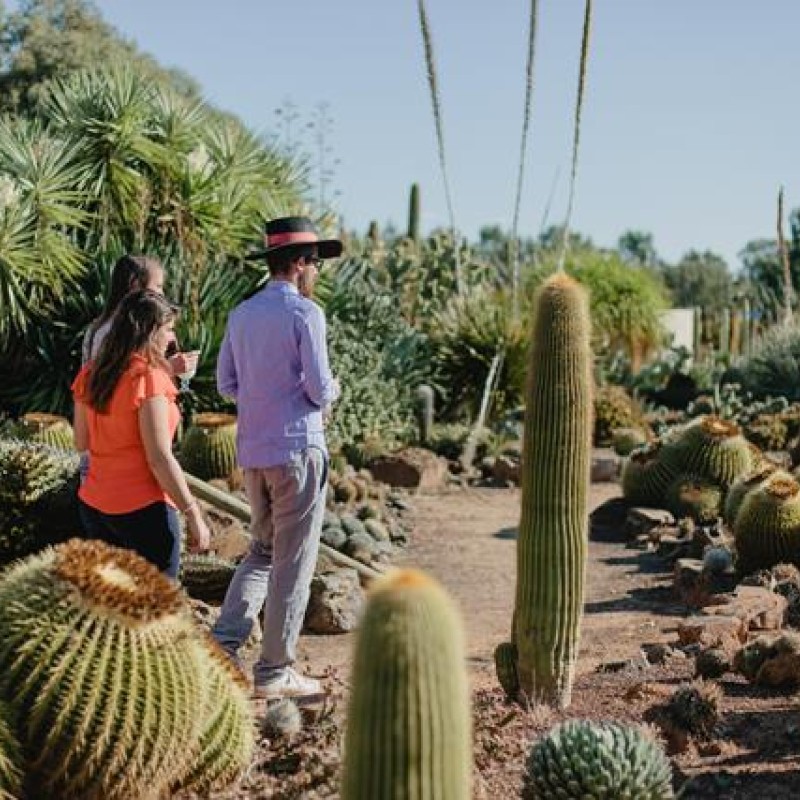 Cactus Country