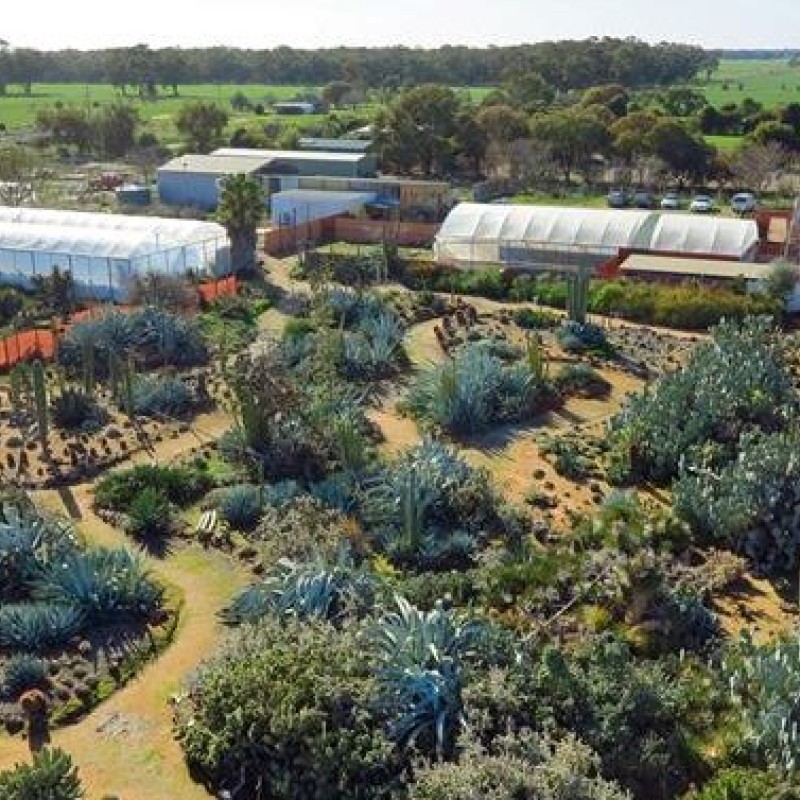 Cactus Country