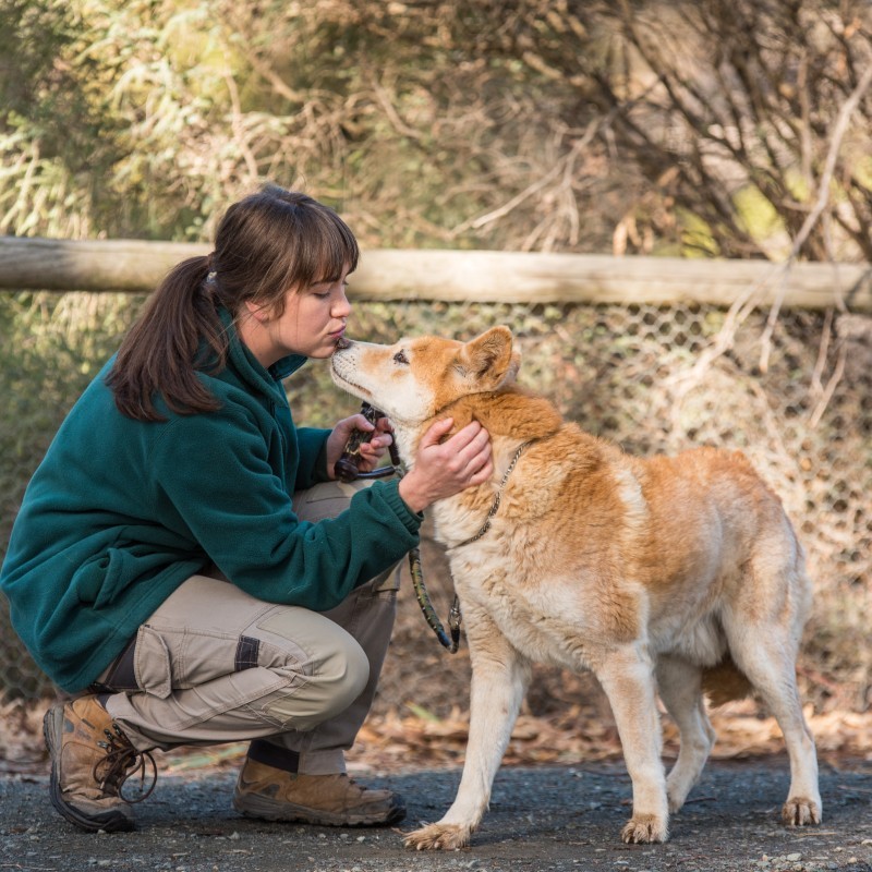 Kyabram Fauna Park