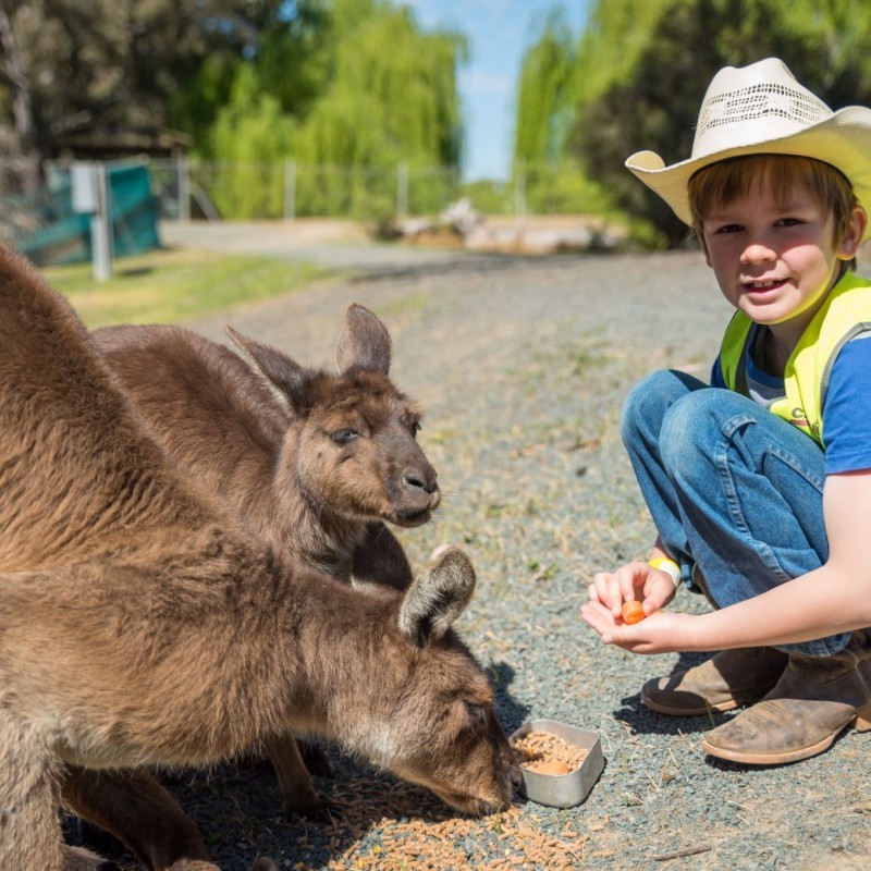 Kyabram Fauna Park