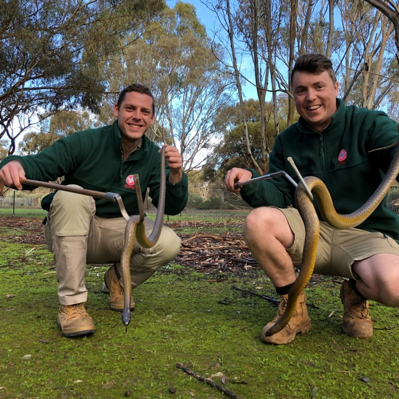 Kyabram Fauna Park