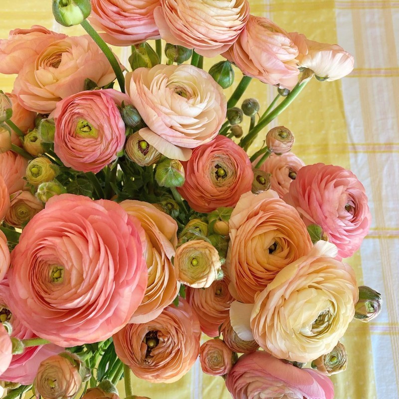 Avonlea Flowers