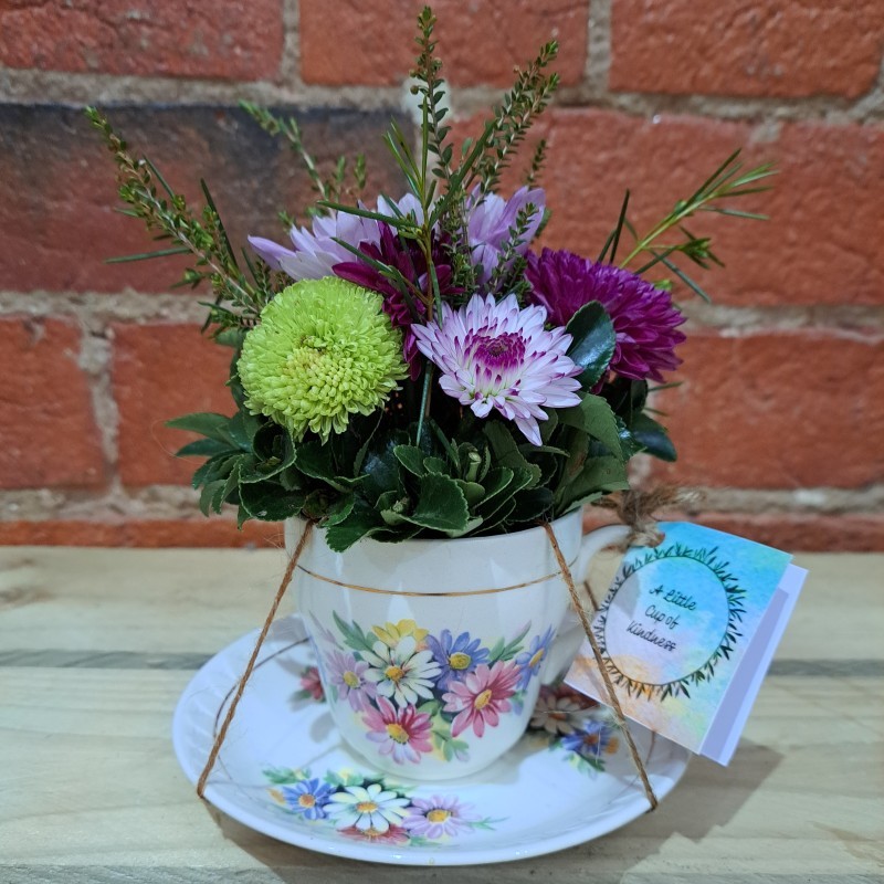 EcoStore Enterprises