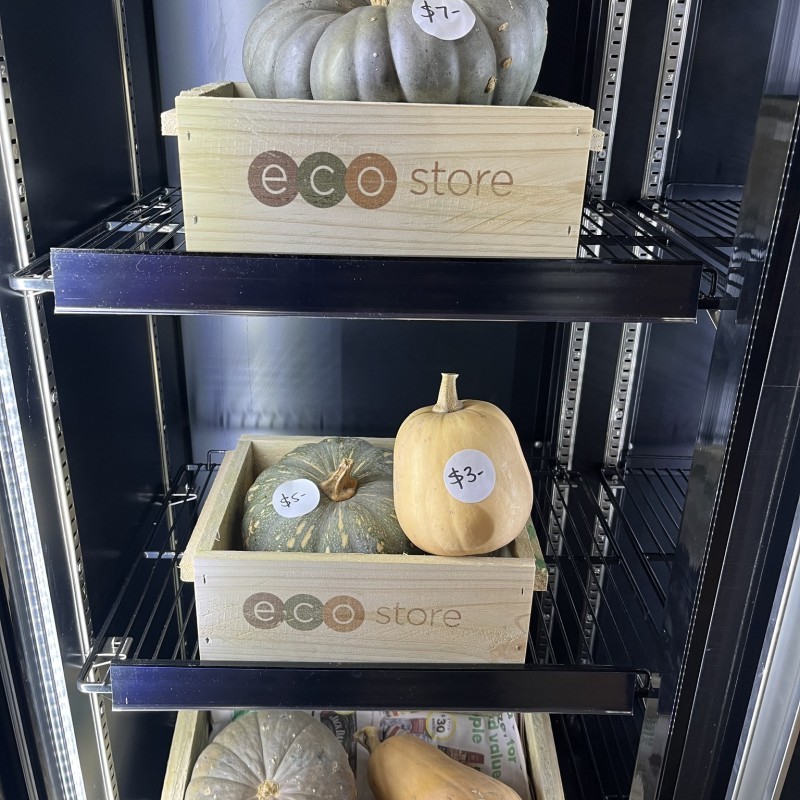 EcoStore Enterprises