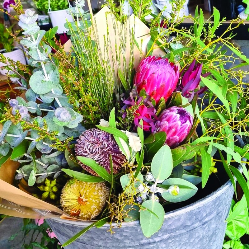 Flourish on McLennan