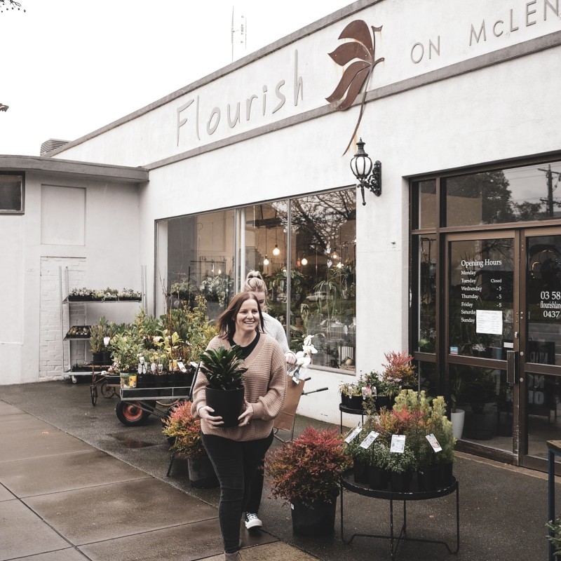 Flourish on McLennan