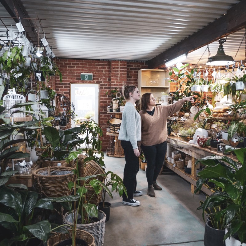 Flourish on McLennan