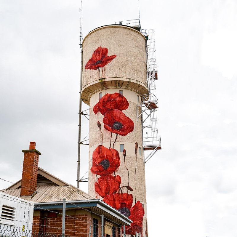Tatura Water Tower Art