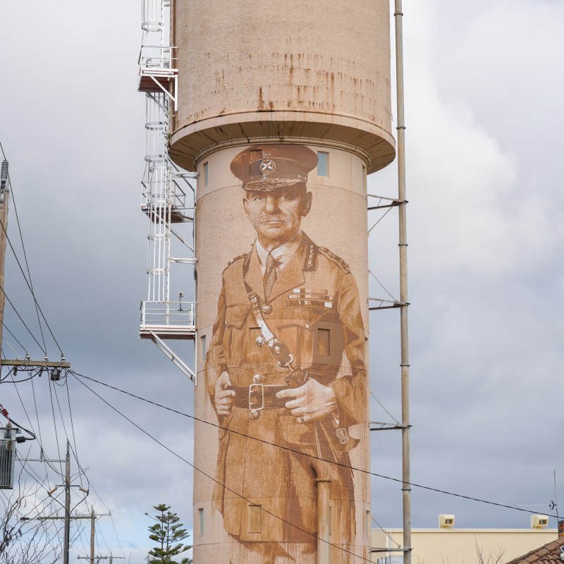 Tatura Water Tower Art