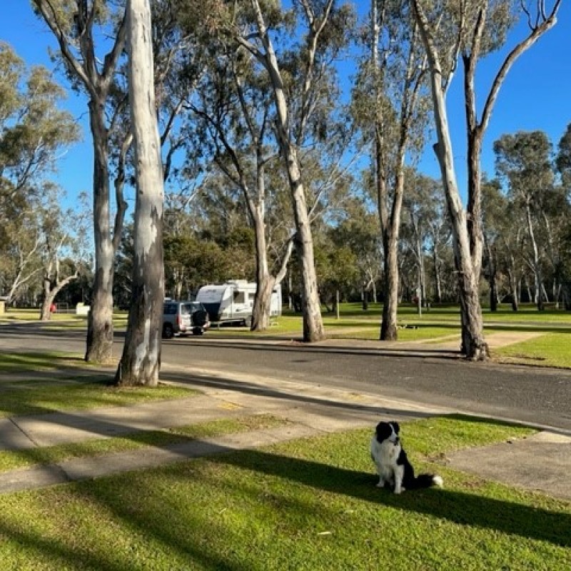 Victoria Lake Holiday Park